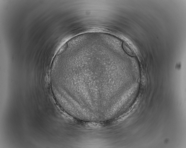 X0000100231097200806131331