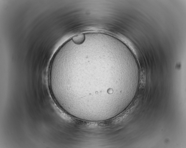 X0000100231098200806131331