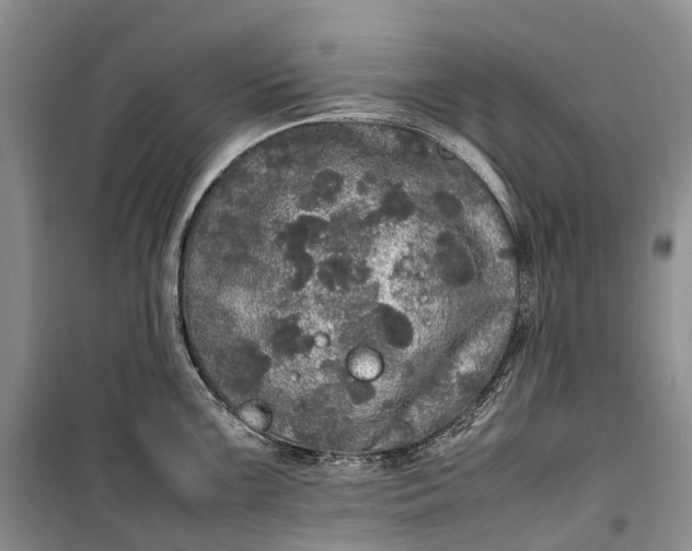 X0000100231099200806131331