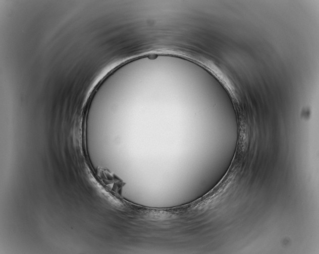 X0000100231100200806131331