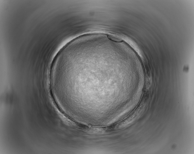 X0000100231101200806131331