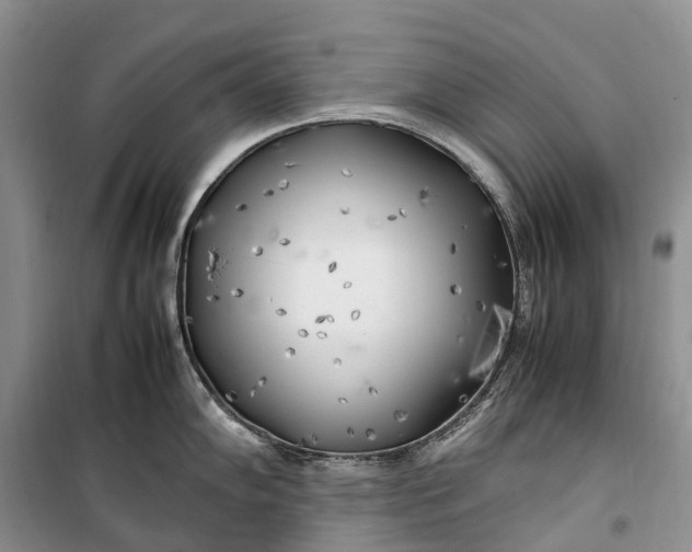 X0000100231102200806131331