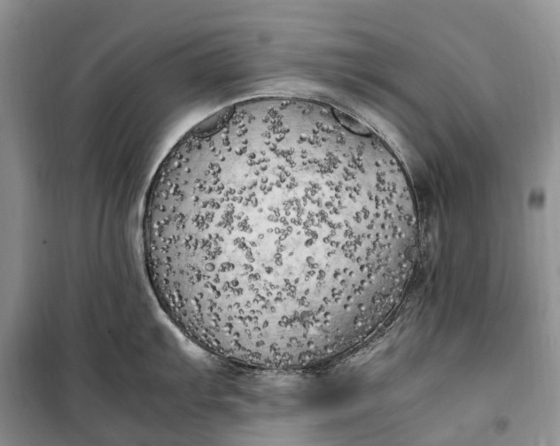 X0000100231103200806131331