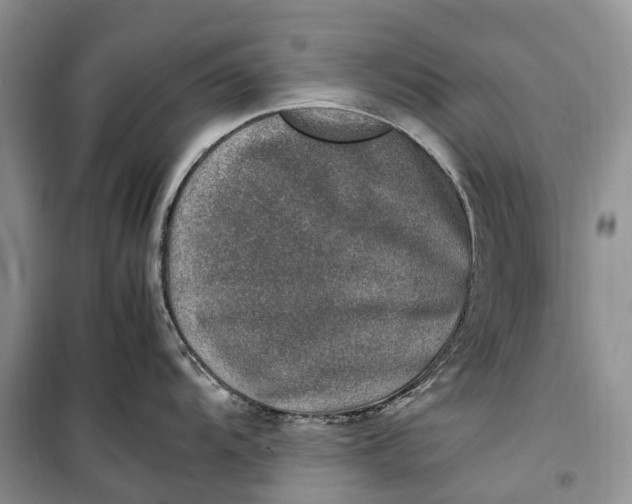 X0000100231104200806131331