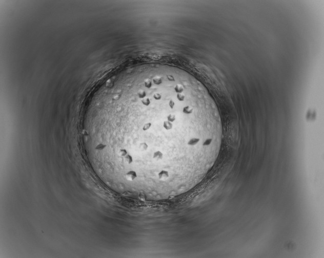 X0000100231105200806131330