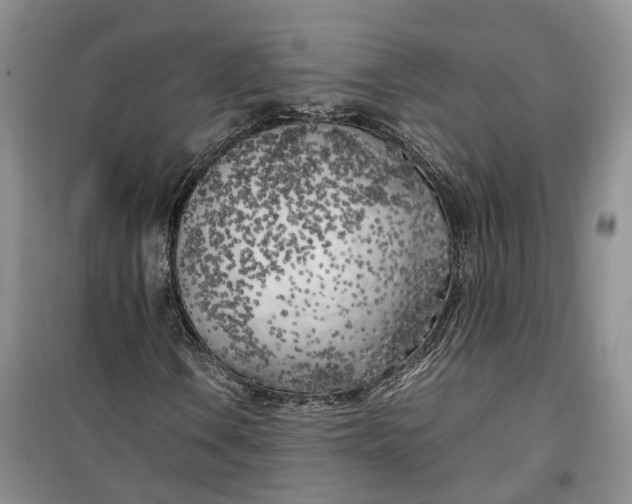 X0000100231106200806131330