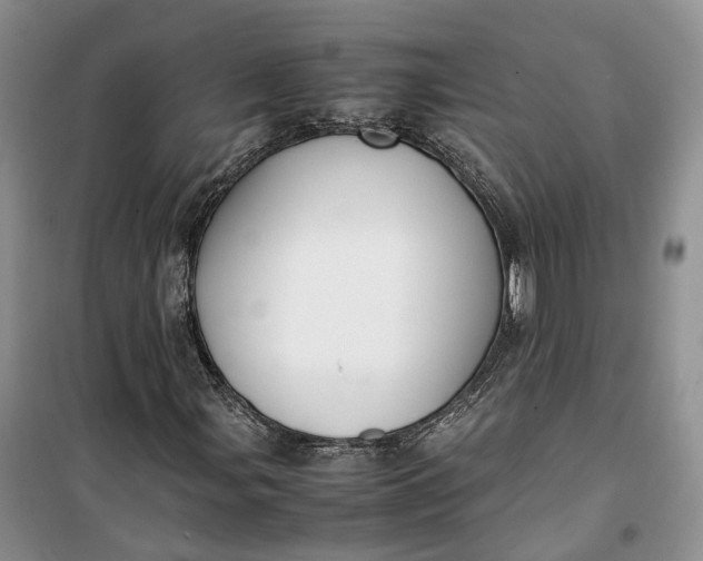 X0000100231107200806131330