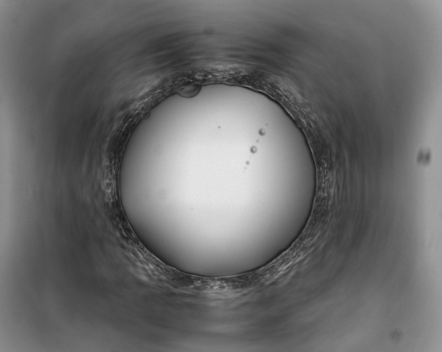 X0000100231109200806131330