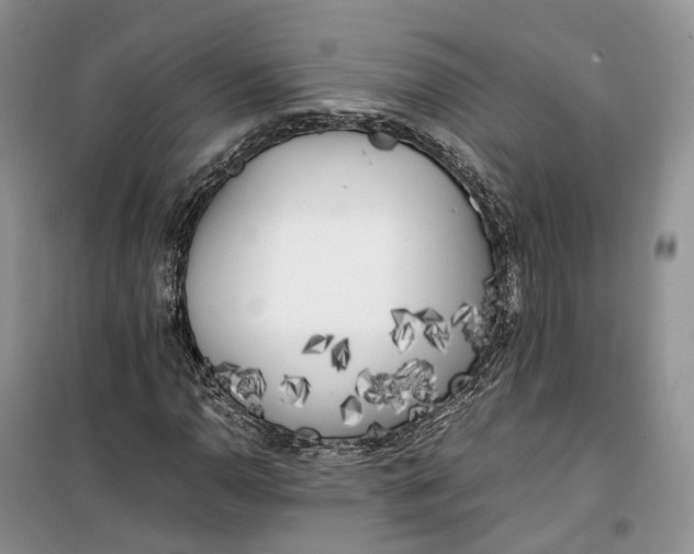 X0000100231110200806131330