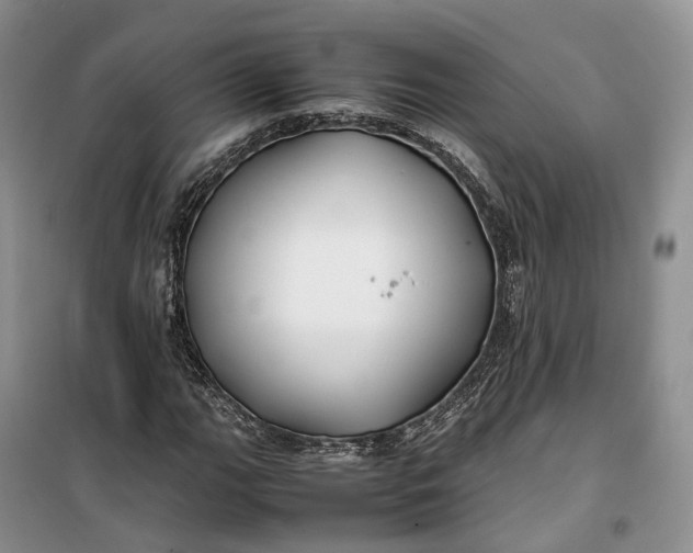 X0000100231111200806131330