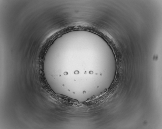 X0000100231112200806131330