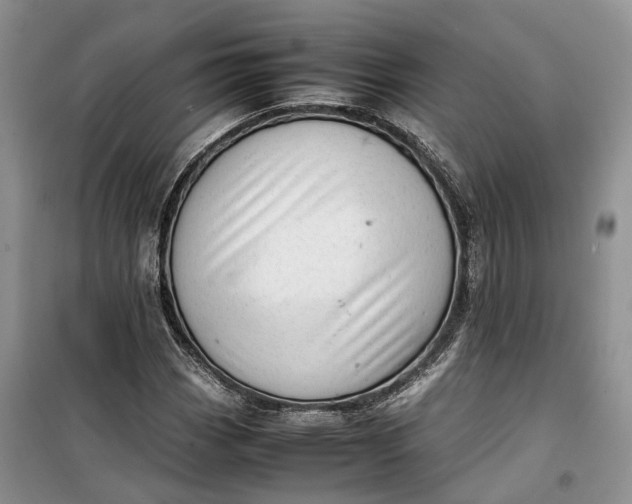 X0000100231113200806131330