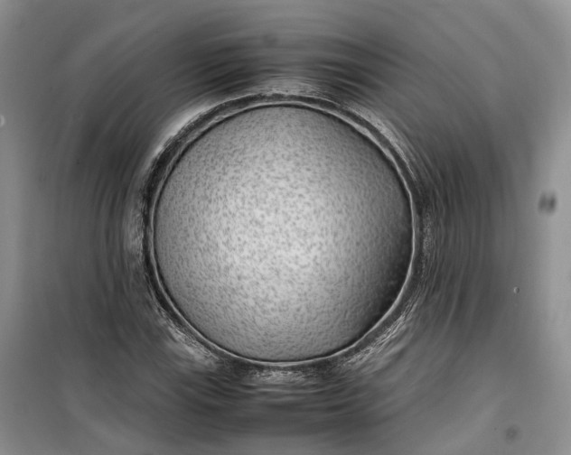 X0000100231115200806131330