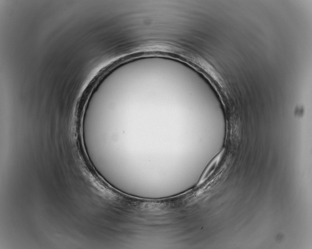 X0000100231116200806131330