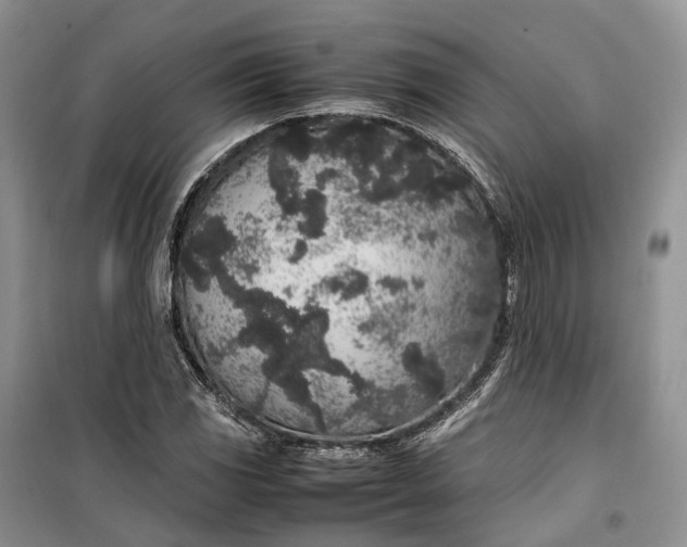 X0000100231117200806131330