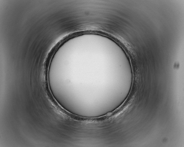 X0000100231118200806131330