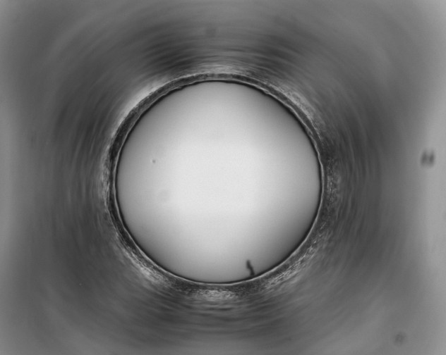 X0000100231119200806131330