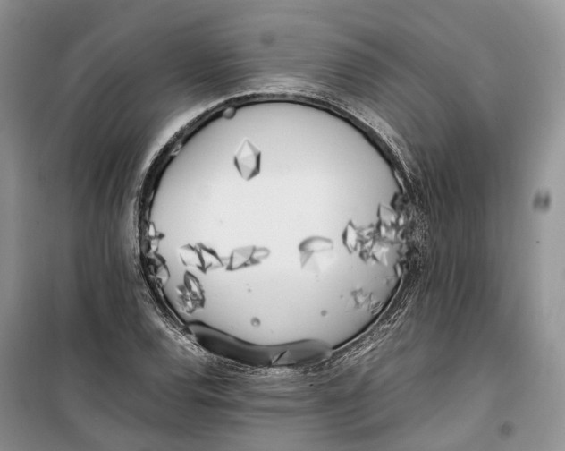 X0000100231120200806131330