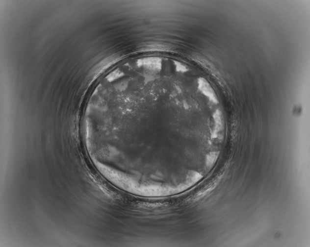 X0000100231121200806131330