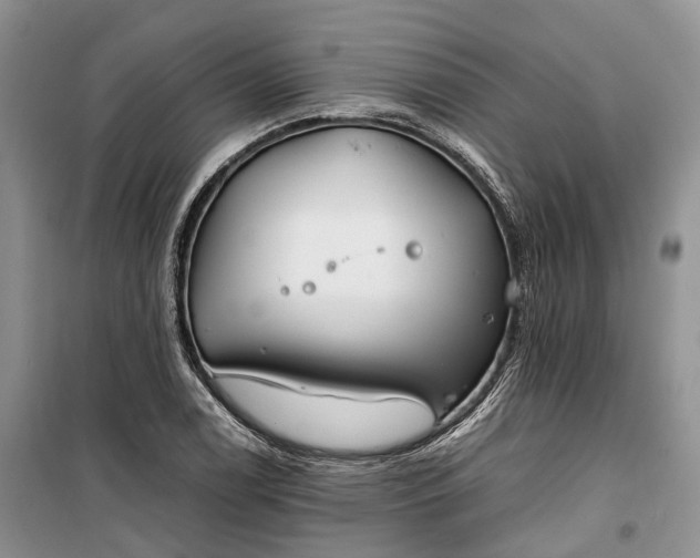 X0000100231122200806131330