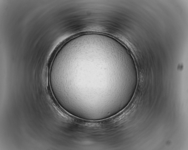 X0000100231123200806131330