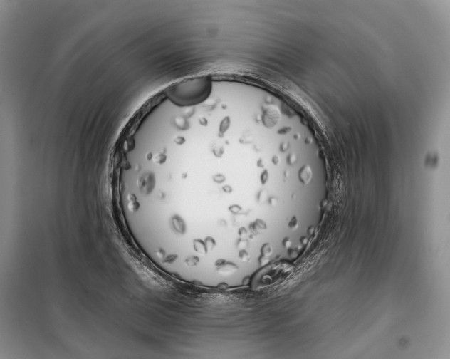 X0000100231124200806131330