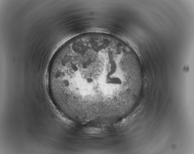 X0000100231125200806131330