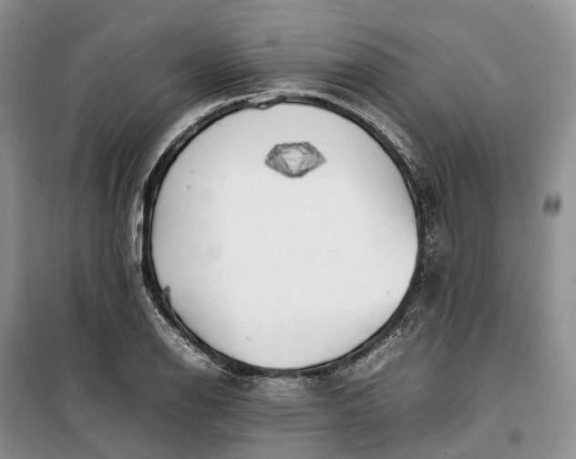 X0000100231126200806131330