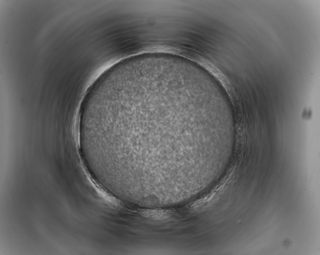 X0000100231127200806131330