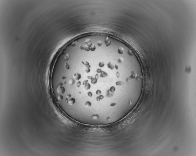 X0000100231128200806131330