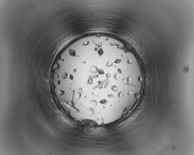 X0000100231129200806131330