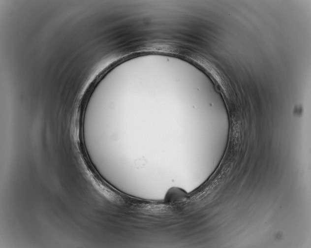 X0000100231131200806131330