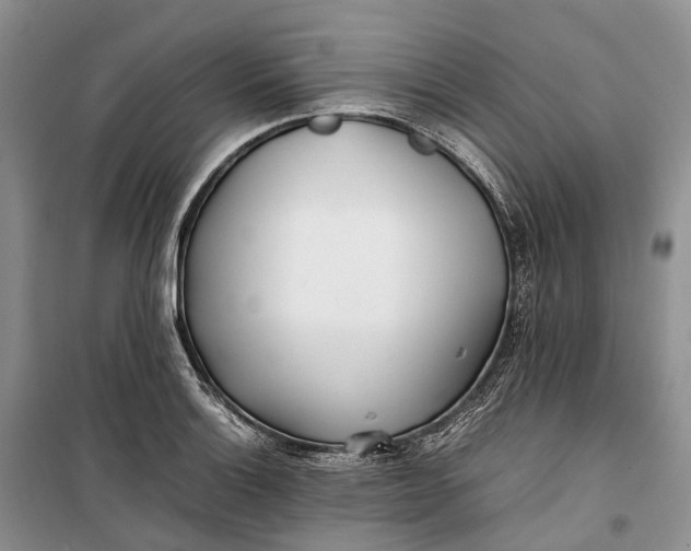 X0000100231132200806131330