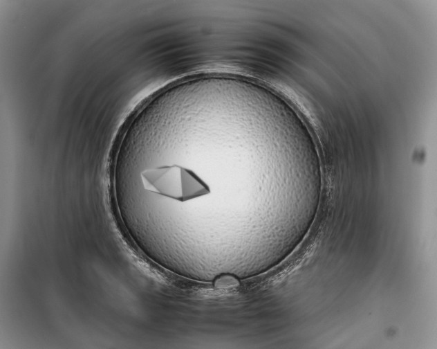 X0000100231133200806131330