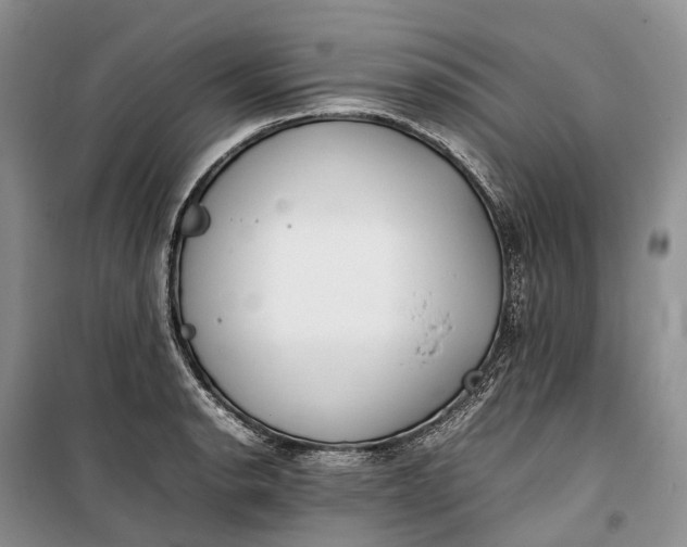 X0000100231134200806131330