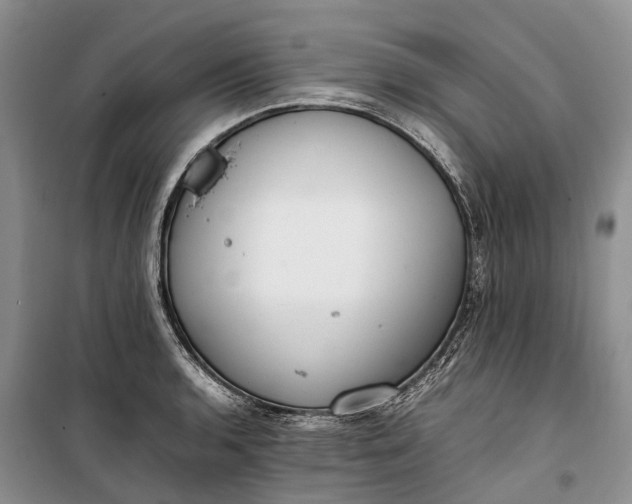 X0000100231136200806131330