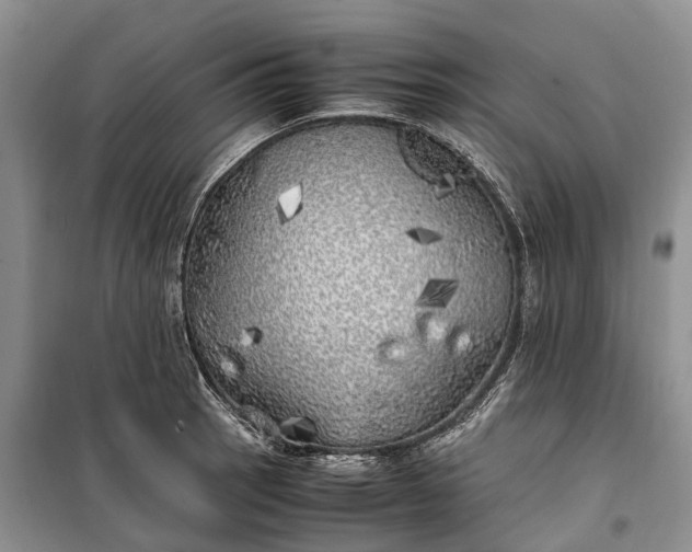 X0000100231137200806131330