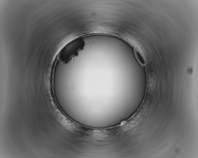 X0000100231138200806131330