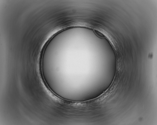 X0000100231139200806131330