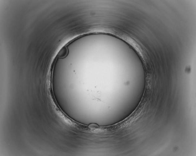 X0000100231140200806131330