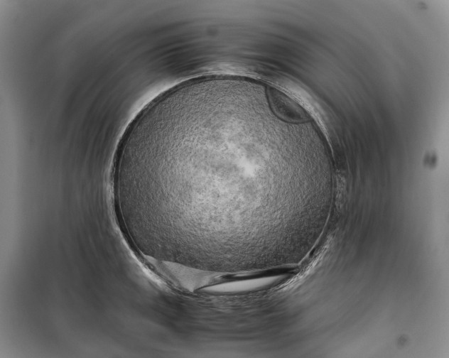 X0000100231141200806131330