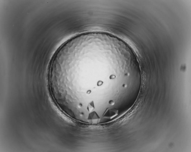 X0000100231142200806131330