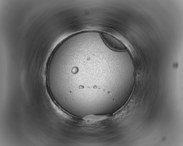 X0000100231143200806131330