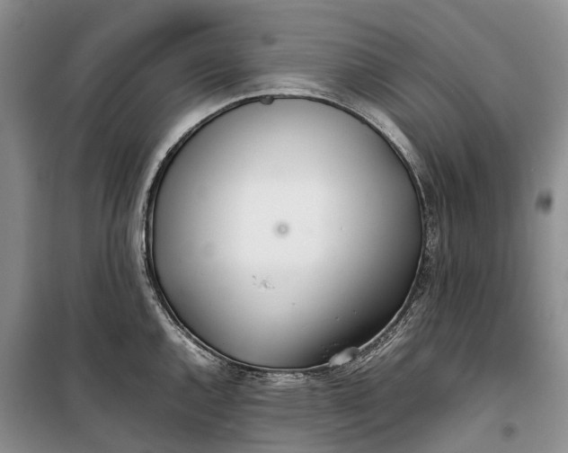 X0000100231144200806131330