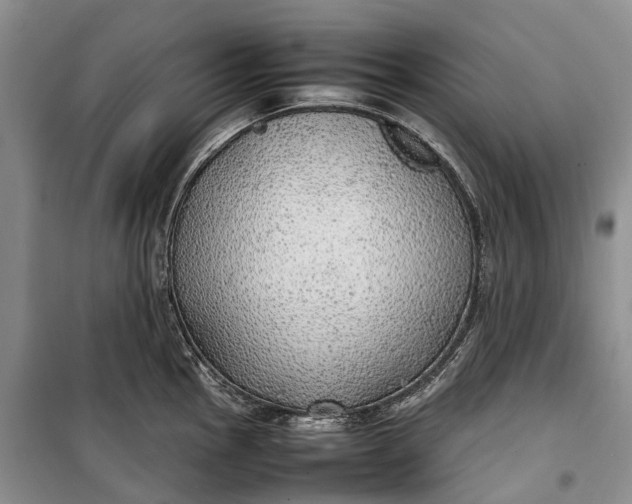 X0000100231145200806131330