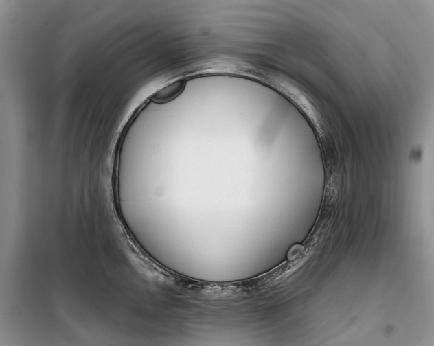 X0000100231146200806131331