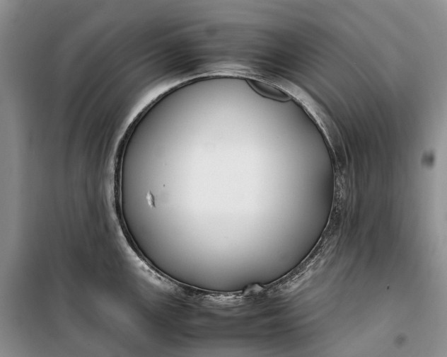 X0000100231147200806131331