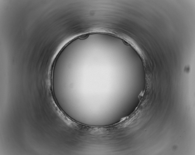 X0000100231148200806131331