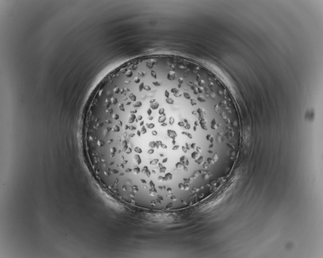 X0000100231149200806131331