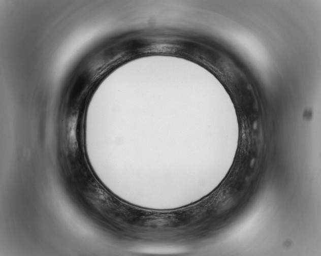 X0000100231150200806131331